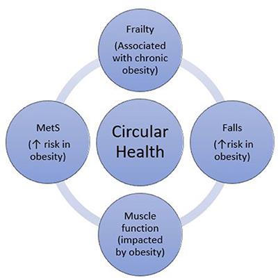 The Association of Physical Function Measures With Frailty, Falls History, and Metabolic Syndrome in a Population With Complex Obesity
